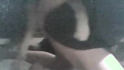 Animal dog sex: full video zoo
