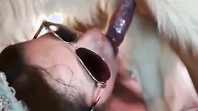 Bestiality games: dog fuck girl missionary