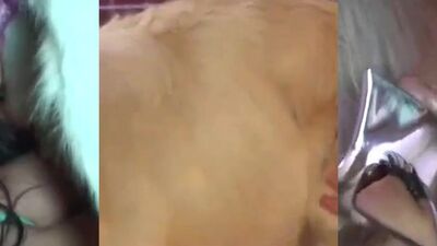 3d dog sex: 3d bbv sex dog compilation zoo porno