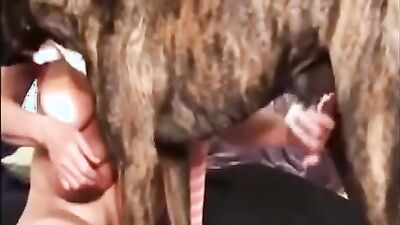 Art of zoo porno: hentai zoo sex