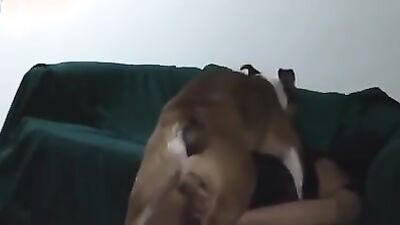 Girl playing dog: animals future porn
