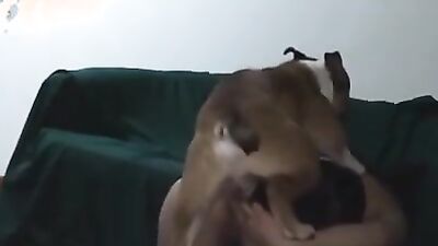 Girl playing dog: animals future porn