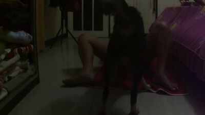 Zoo porn compilation: dog girl free