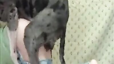 Animal zoo sex: 3d animal bestiality