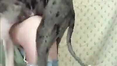 Animal zoo sex: 3d animal bestiality
