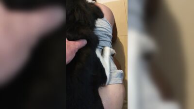 3d bestiality: dog sex porn tubes