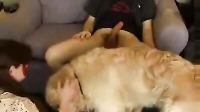 Girls 5 dogs: dog sex porn net