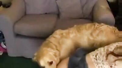 Girls 5 dogs: dog sex porn net