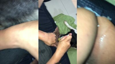 Mimi dog porn: hentai bestiality human mother baby animal
