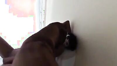 1 girl 5 dog: porn dog dom
