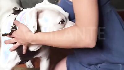 Zoo sex video: fucking animals zoo porn