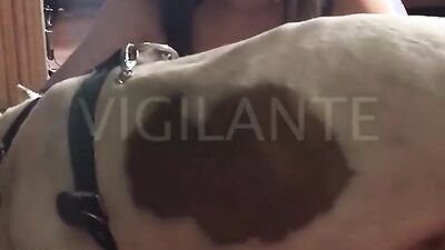 Zoo sex video: fucking animals zoo porn