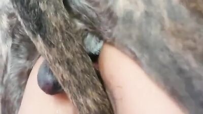 Dog fuck girl: watching dog porn