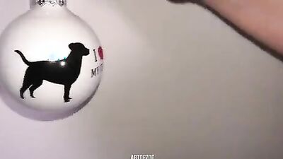 Zoo fucking porn: girls suck dog cock