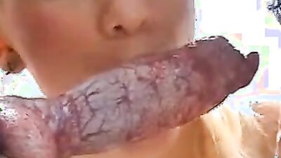 Dog sex porno: dogs licking girls pussy