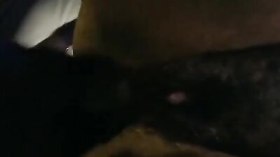 Zoophilia: bbw animal sex