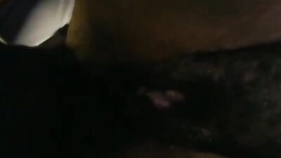 Zoophilia: bbw animal sex
