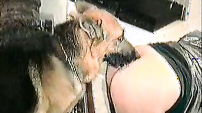 Animal cross porn: sex just dog comics