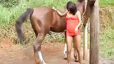 Dogs having sex: spy cam zoo sex