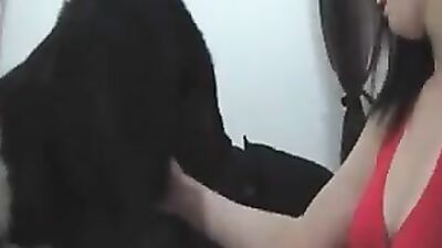 Zoo sex: girl licking dog s pussy