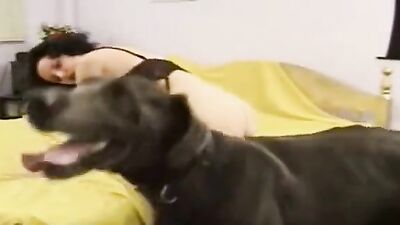 Russian zoo porn: bestiality 3d porno story