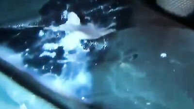 Dog fucking girl: porn zoo pissing