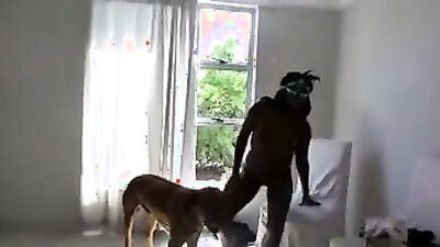 Dog's porn: 3d zoo porno video