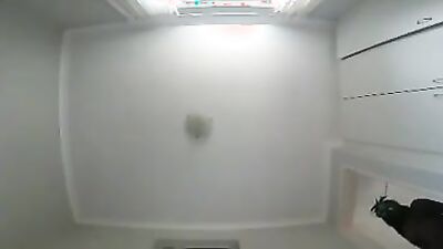 Dog's porn: 3d zoo porno video