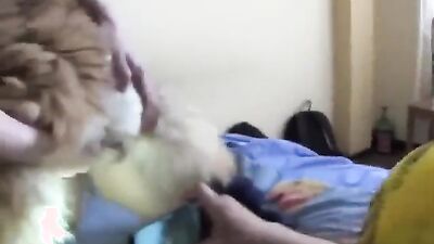 Animal sex video: daisy mae happy animal farm porn games