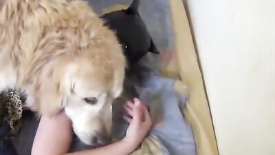 Animal sex video: daisy mae happy animal farm porn games