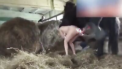 Animal sex video: anime animals sex video