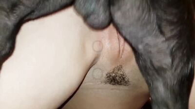 Girl playing dog: dog teens sex videos