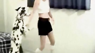 Gay zoo porn: porno 34 bestiality