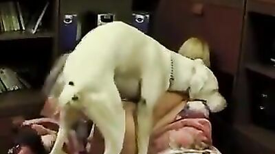 1 girl 5 dog: r34 porn bestiality