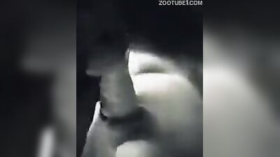 Dog fuck girls fucking: dog fuck girl animal