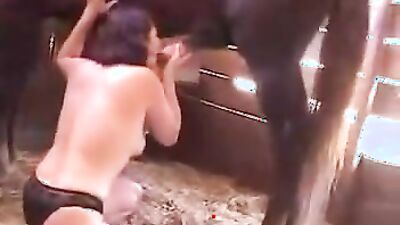 Animal porn: big dog porn