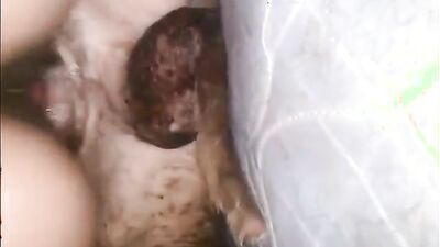 Zoo sex porno: zoo porn licking pussy