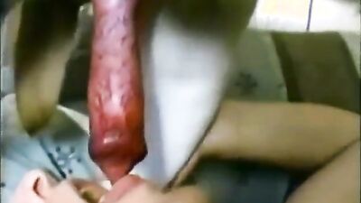 Dog sex porno: zoo dog porn video
