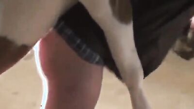 Russian zoo porn: zoo porn horse cum