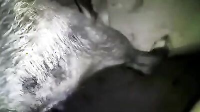 Zoo dog porn: dog porn clip