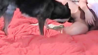 Art of zoo: girl suck dog dildo