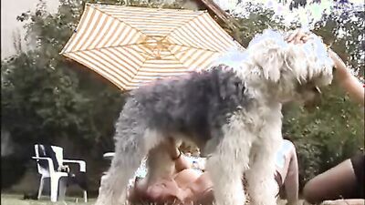 Bestiality dog: zoo org porn
