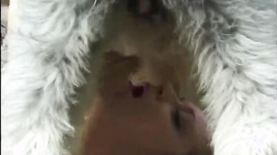 Bestiality dog: zoo org porn