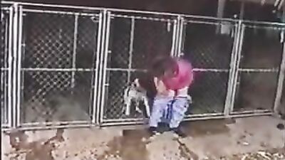 Animal cross porn: animal porn beastiality