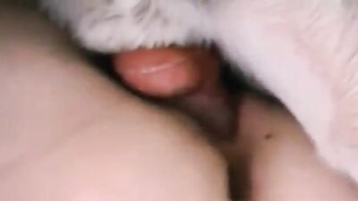 Bestiality comics: zoo sex video hd