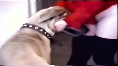 Girls s dogs: girl deepthroat dog