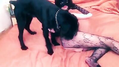 Animal crossing porn: dog fucks a girl videos porn