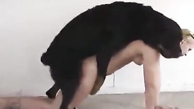 Bestiality dog: dog porn puppy