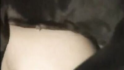 Bestiality porn: dog kisses girl
