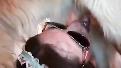 Gay zoo porn: art of zoo 18